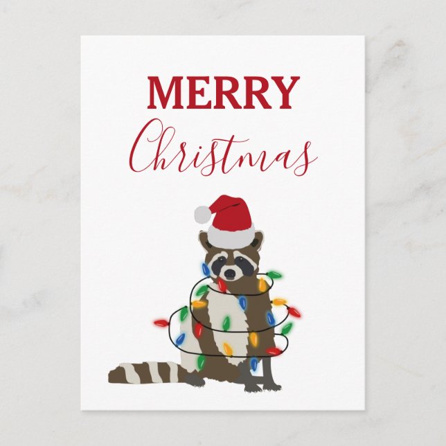 Cartão Postal De Festividades Engraçado Natal Raccoon Santa Hat Luzes de Natal (Frente)