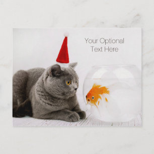 Cartão Postal De Festividades Engraçado Texto personalizado de Cat & Fish