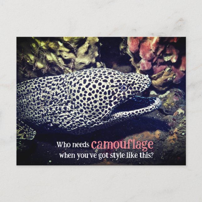 Cartão Postal De Festividades Enguia-de-porco-espada submarina (Frente)