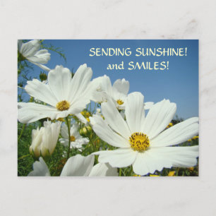 Cartão Postal De Festividades ENVIANDO SUNSHINE & Smile! Namorados de cartão pos