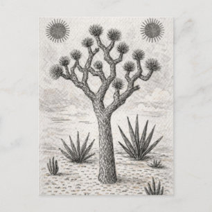 Cartão Postal De Festividades esboço da árvore de joshua   arte de esboço do des