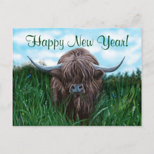 Cartão Postal De Festividades Escocesa de Vacas do Highland