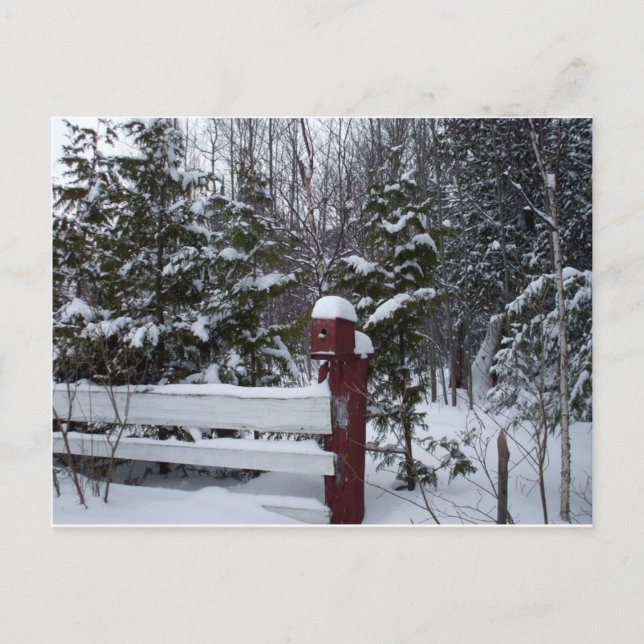 Cartão Postal De Festividades Esperando pela casa de pássaros de Natal (Frente)