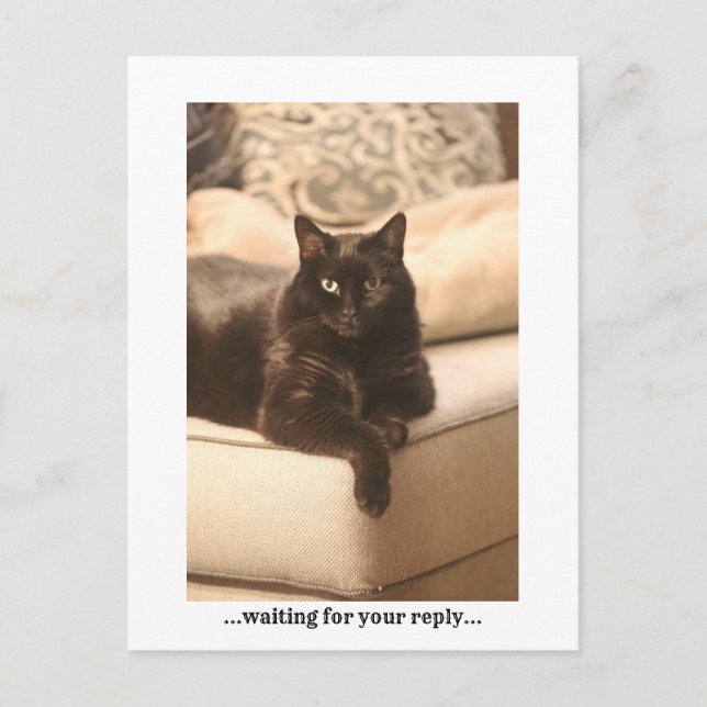 Cartão Postal De Festividades ...esperando...Postal (Frente)