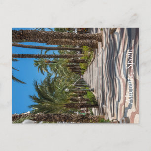 Cartão Postal De Festividades Esplanade, Alicante, Espanha