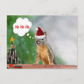 Cartão Postal De Festividades Esquilo de Natal Dizendo Ho Ho Ho