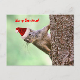 Cartão Postal De Festividades Esquilo de Natal numa Árvore