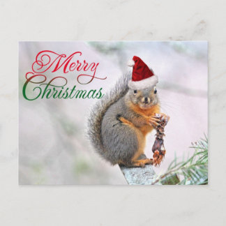 Cartão Postal De Festividades Esquilo de Natal Vestindo o Chapéu do Pai Natal
