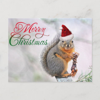 Cartão Postal De Festividades Esquilo Feliz de Natal