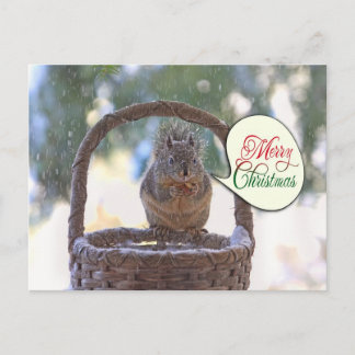 Cartão Postal De Festividades Esquilo na neve dizendo feliz Natal