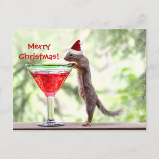 Cartão Postal De Festividades Esquilo que comemora o Natal
