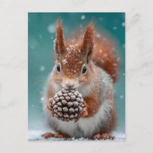 Cartão Postal De Festividades Esquilo Vermelho Adorável na Neve com um Pinecone
