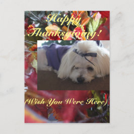 Cartão Postal De Festividades Estações Maltesas Saem de Design