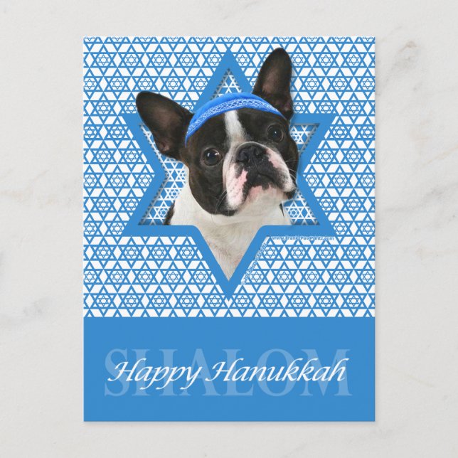 Cartão Postal De Festividades Estrela de Hanukkah de David - Boston Terrier (Frente)