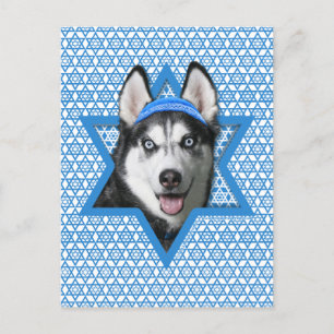 Cartão Postal De Festividades Estrela de Hanukkah de David - Husky Siberiano