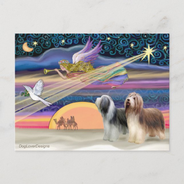 Cartão Postal De Festividades Estrela de Natal - Collies com Barras (dois) (Frente)