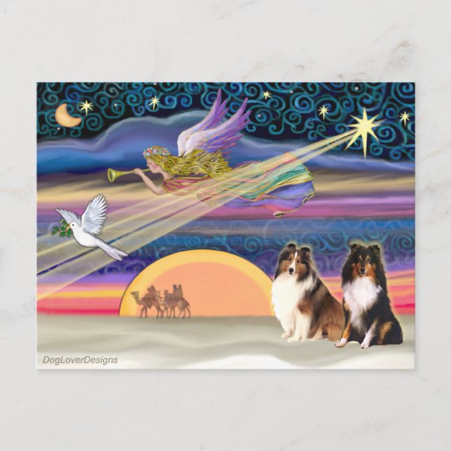 Cartão Postal De Festividades Estrela de Natal - Shetland Sheepdog (2) (Frente)
