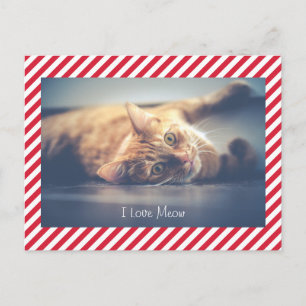 Cartão Postal De Festividades Eu Amo Meow Cartão-postal de foto de Dia de os