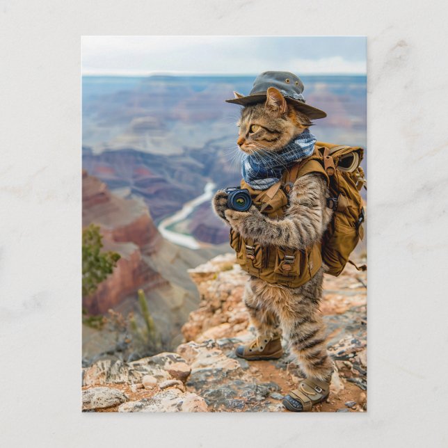 Cartão Postal De Festividades Explorador de Gatos no Grand Canyon Edge (Frente)