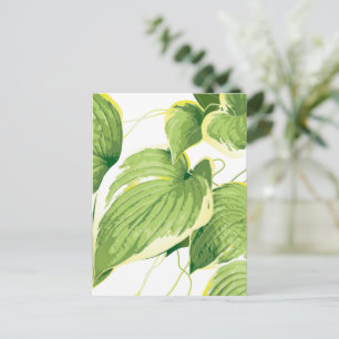 Cartão Postal De Festividades Fábrica Ficus 2