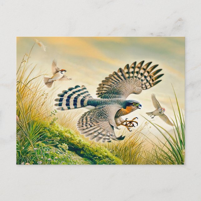 Cartão Postal De Festividades Faísca caçando em Prado (Frente)