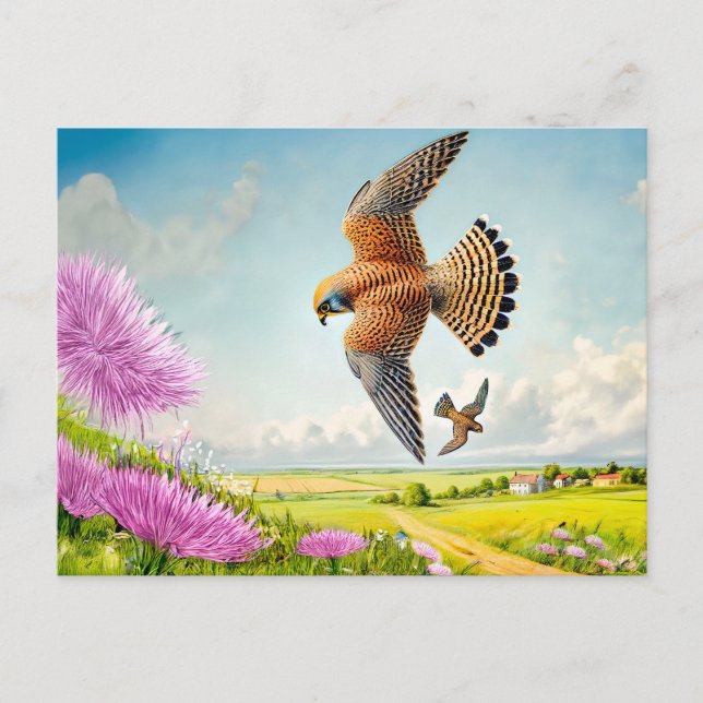 Cartão Postal De Festividades Falcões sobre Encosta de Montanha (Frente)