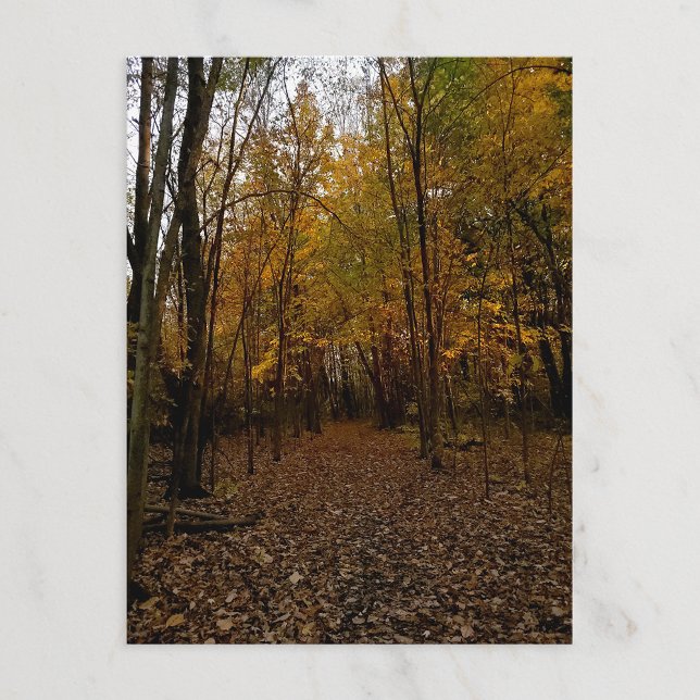 Cartão Postal De Festividades Fall Trees at Sunset Taylor Michigan Postcard (Criador carregado)