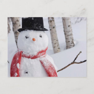 Cartão Postal De Festividades Fechamento de Snowman com Scarf e Top Hat