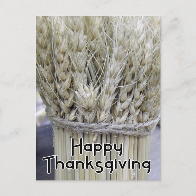 Cartão Postal De Festividades Feliz Ação de Graças (Frente)