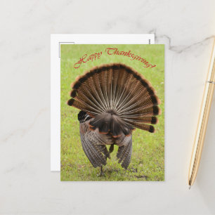 Cartão Postal De Festividades Feliz Ação de Graças