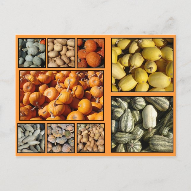 Cartão Postal De Festividades Feliz Ação de Graças (Frente)