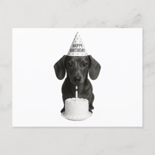 Cartão Postal De Festividades Feliz aniversário Dachshund