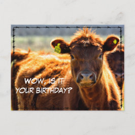 Cartão Postal De Festividades Feliz Aniversário Divertido Fazenda Rural Correio
