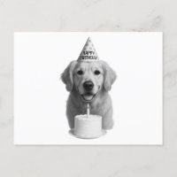 Feliz Aniversário Ouro Retriever