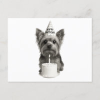 Feliz aniversário Yorkie