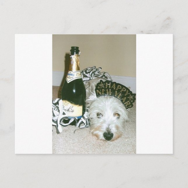 Cartão Postal De Festividades Feliz ano novo (Frente)