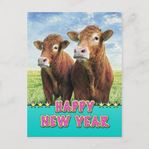 Cartão Postal De Festividades FELIZ ANO NOVO com os garotos das vacas