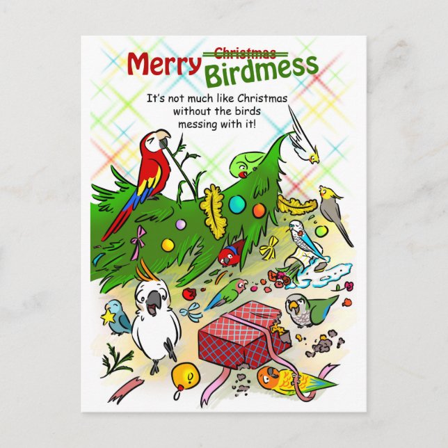 Cartão Postal De Festividades Feliz Birdwid (Frente)