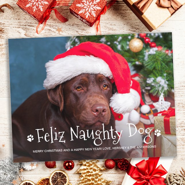 Cartão Postal De Festividades Feliz Cachorro Malvado Foto Personalizada De Pet (Criador carregado)