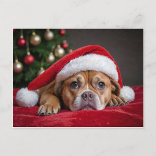 Cartão Postal De Festividades Feliz Cão de Natal