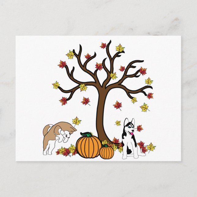 Cartão Postal De Festividades Feliz Cartão de Posto de Ação de Graças (Frente)