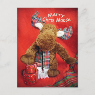 Cartão Postal De Festividades Feliz Chris Moose