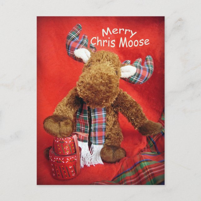 Cartão Postal De Festividades Feliz Chris Moose (Frente)