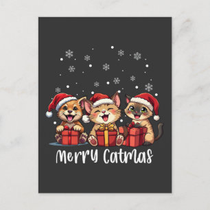 Cartão Postal De Festividades Feliz de Gatinhos de Natal Catmas