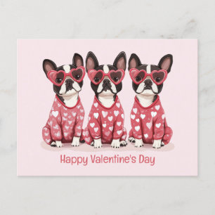 Cartão Postal De Festividades Feliz Dia dos Namorados Boston Terrier Dogs