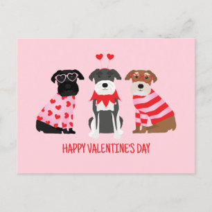Cartão Postal De Festividades Feliz Dia dos Namorados Cães Schnauzer