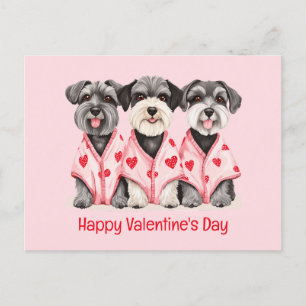 Cartão Postal De Festividades Feliz Dia dos Namorados Cães Schnauzer