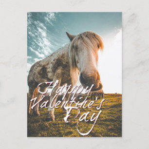 Cartão Postal De Festividades Feliz dia dos namorados com cavalo olhando