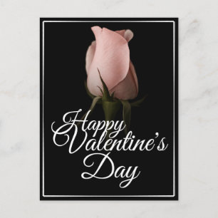 Cartão Postal De Festividades Feliz Dia dos Namorados com rosa rosa
