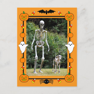 Cartão Postal De Festividades Feliz Esqueleto de Halloween